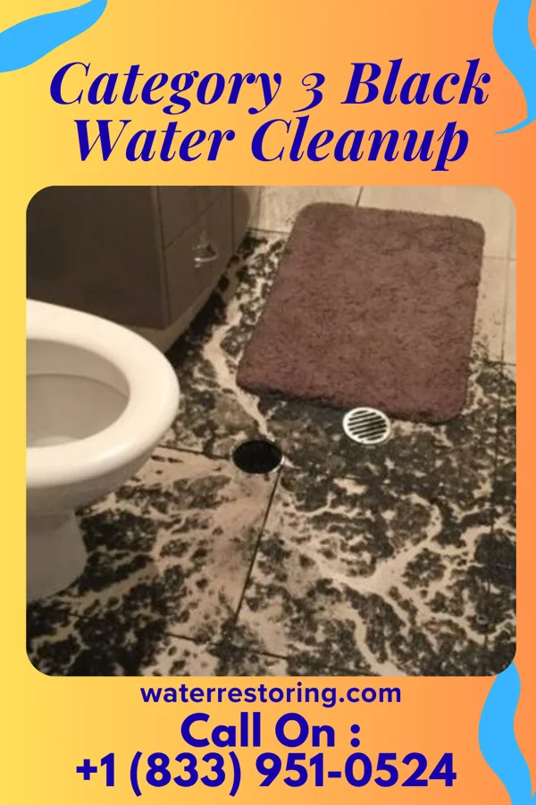 Category 3 Black Water Cleanup in Eunice, NM