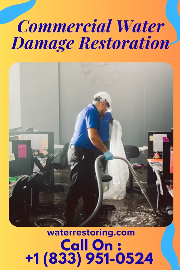 Commercial Water Damage Restoration in Eunice, NM
