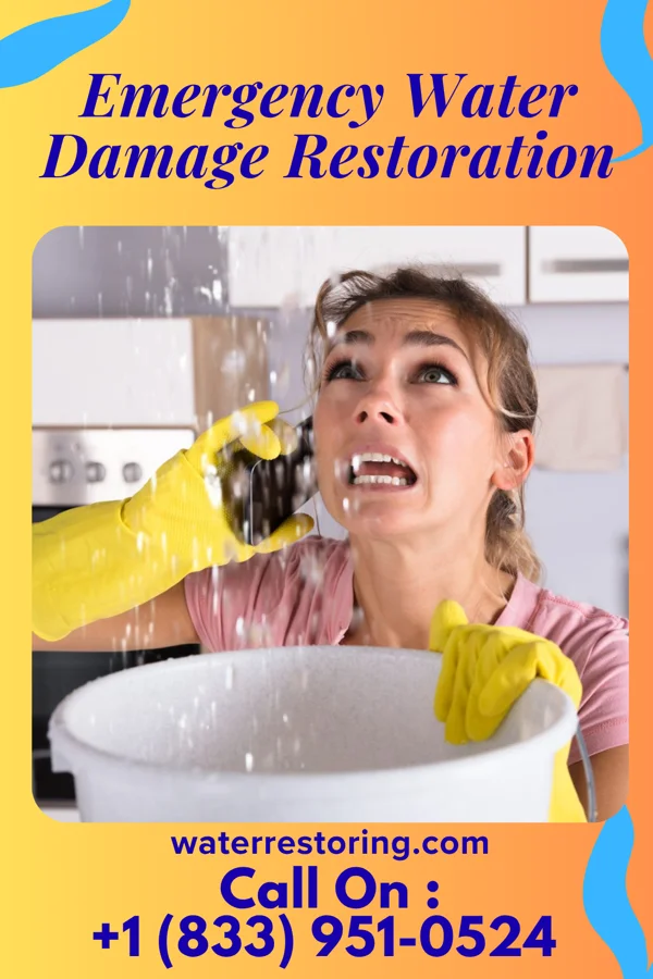 Emergency Water Damage Restoration in Eunice, NM